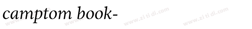 camptom book字体转换